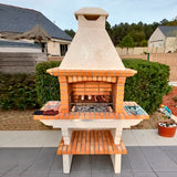 barbecue promo av1110f