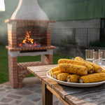 Barbecue Briques de Jardin 