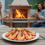 Barbecue en Dur AV1350F