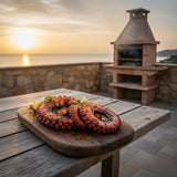 Barbecue en Pierre AV310F