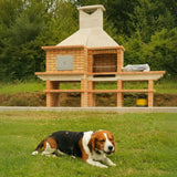 Barbecue exterieur avec Four 