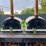 Four a pizza et pain bois BRAZZA