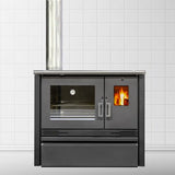 Modern wood stove MOLIERE PF001F