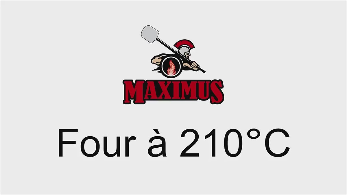 Pourquoi choisir le Maximus plutôt qu’un autre four à bois ?