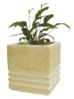 Image de Vase carré Grand V061F