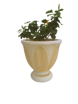 Image de Vase en coupe (petit)  V090F