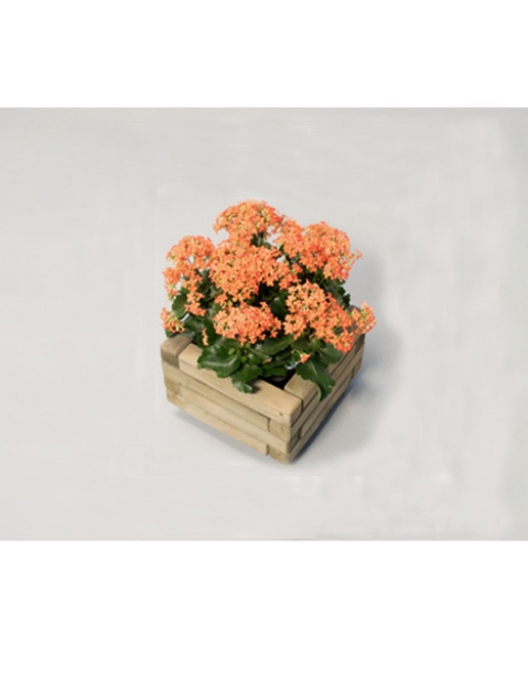 Picture of Bac à fleurs de jardin CUBE (Petit) TO3110A