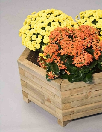 Image de Bac à fleurs Hexagonal de jardin (Grand) TO3111A
